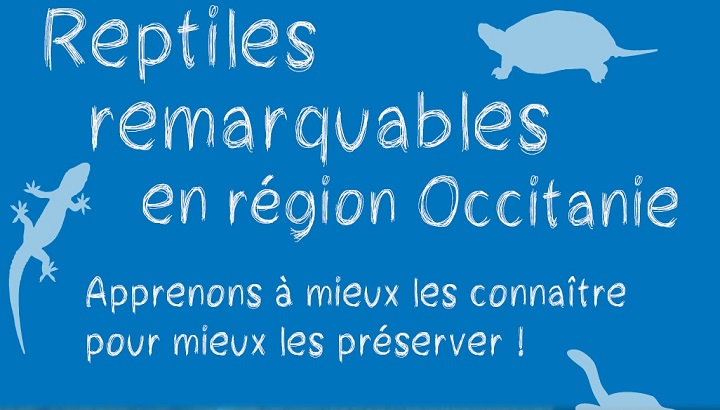 Un nouveau poster sur les reptiles de la région Occitanie et du Pays catalan